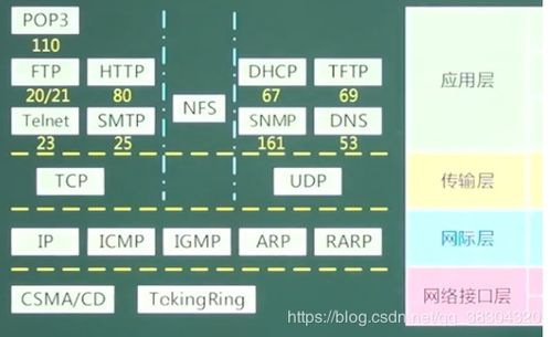 網絡模型概述及其在信息安全軟件開發中的應用